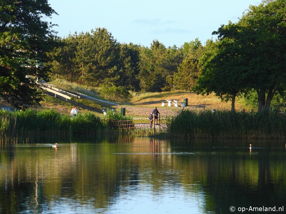  Bakema Noord